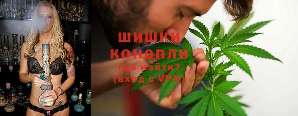 прущие грибы Балахна