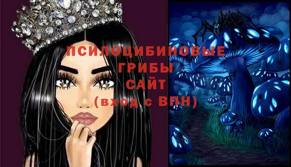 винт Анива