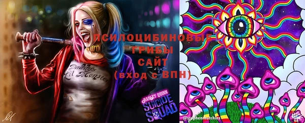 прущие грибы Балахна