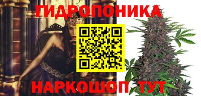 альфа пвп Анжеро-Судженск